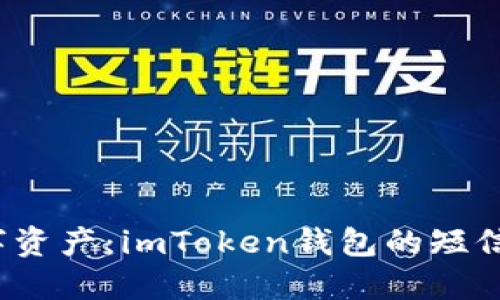 保护你的数字资产：imToken钱包的短信验证怎么用？