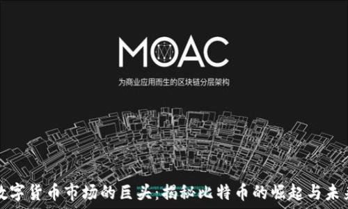   
数字货币市场的巨头：揭秘比特币的崛起与未来