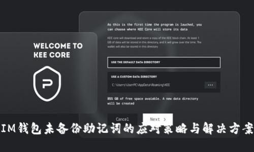 IM钱包未备份助记词的应对策略与解决方案