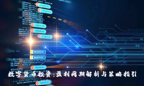 数字货币投资：盈利周期解析与策略指引